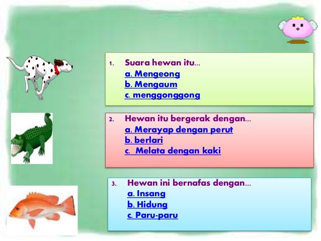 8400 Gambar Bagian Tubuh Hewan Dan Tumbuhan Terbaru