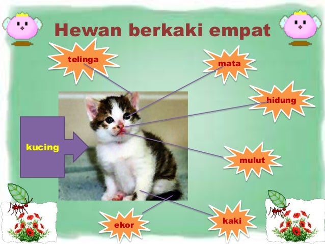 Bagian Tubuh Hewan Dan Tumbuhan Bab 1