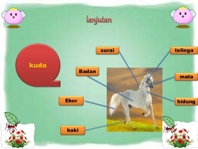 Gambar Animasi Hewan Dan Tumbuhan