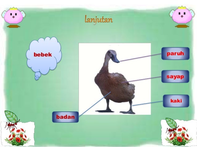 Bagian Tubuh Hewan Dan Tumbuhan Bab 1