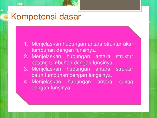  Bagian  tumbuhan dan  fungsinya 