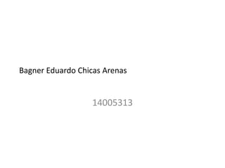 Bagner Eduardo Chicas Arenas
14005313
 