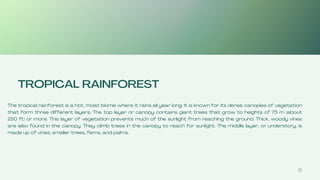6
TROPICAL RAINFOREST
The tropical rainforest is a hot, moist biome where it rains all year long. It is known for its dense canopies of vegetation
that form three different layers. The top layer or canopy contains giant trees that grow to heights of 75 m (about
250 ft) or more. This layer of vegetation prevents much of the sunlight from reaching the ground. Thick, woody vines
are also found in the canopy. They climb trees in the canopy to reach for sunlight. The middle layer, or understory, is
made up of vines, smaller trees, ferns, and palms.
 