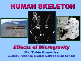 HUMAN SKELETON




   Effects of Microgravity
          Ms. Tobie Brandriss
Biology Teacher, Hunter College High School