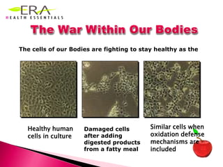 Cardiovascular Diseases ( 17 million )                