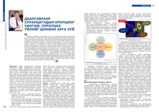 17ЗӨВЛӨХ БАГШ
өөрийн идэвхтэй үйл ажиллагаагаар мэдлэгээ
бүтээх замаар оюуны чадвараа хөгжүүлэх, харин
сургахын мөн чанар нь даалгаврыг хэрэгжүүлэх
явцад суралцагчийн оролцоог хангаж, суралцах
үйлийг дэмжихэд чиглэсэн үйл ажиллагааны орчин
бүрдүүлэхэд оршино (1 дүгээр зураг).
1. Бидний боловсруулж туршсан энэхүү
арга зүйд даалгаврыг дараах 2 зорилгоор
боловсруулан хэрэгжүүлж, үр дүнг нь үнэлдэг.
Үүнд: Суралцагчдын судлагдахууны агуулгад
боловсруулалт хийх оюуны чадварыг хөгжүүлэх
2. Суралцагчдын идэвхтэй оролцоог хангаж,
суралцах үйлийг дэмжих
1 дүгээр зураг. Даалгавар бол хэрэглэгдэхүүн ч мөн,
үйл ажиллагаа ч мөн
Товчхондоо суралцахуй дахь даалгавар
бол суралцагчдын оюуны чадварыг илрүүлэх,
хөгжүүлэх, үнэлэх зориулалт бүхий хэрэглэгдэхүүн
ба түүнийг хэрэгжүүлэхэд чиглэгдсэн багш,
суралцагчдын хамтын үйл ажиллагааны шүтэн
барилдлага байдлаар хэрэгждэг үйл явц юм.
Үндсэн хэсэг: Энэхүү арга зүйн мөн чанарыг
“Суралцагчдын оролцоог хангах”, “Суралцах үйлийг
дэмжих” гэсэн хоёр гол санаа тодорхойлдог.
СУРАЛЦАГЧДЫН ОРОЛЦООГ ХАНГАХ
Суралцагчид судлагдахууны агуулгад
боловсруулалт хийхийн тулд эхлээд багшийн
дамжуулж буй мэдээллийг өөрт нь давамгайлж буй
мэдээллийг хүлээн авах хэв шинжид тулгуурлан
хүлээн авдаг. Ингэхдээ багшийн дамжуулж буй
мэдээллийг харах, сонсох, биеэр үйлдэх замаар
гээд цогц байдлаар хүлээн авч чадвал суралцагчид
тухайн мэдээллийн талаар бүрэн гүйцэд төсөөлөлтэй
болно (2 дугаар зураг).
Гэхдээ суралцагчдын анхаарлын төвлөрлийг
аль болох удаан хугацаанд тогтвортой байлгах
үүднээс багш мэдээллээ тухайн суралцагчдад
илүү давамгайлж байгаа хэв шинжээс нь эхэлж
дамжуулах хэрэгтэй. Жишээ нь тухайн суралцагчдад
мэдээллийг хүлээн авах хэв шинжүүд харах, сонсох,
биеэр үйлдэх гэсэн эрэмбэтэйгээр давамгайлж
байсан бол багш зурагт үзүүлэн, дүрс бичлэг
эхэлж үзүүлээд тайлбар яриагаар үргэлжлүүлж,
эцэст нь биеэр үйлдэх хэлбэрийн үйл ажиллагааг
хэрэгжүүлнэ гэсэн үг.
2 дугаар зураг. Даалгавар бол хэрэглэгдэхүүн ч мөн,
үйл ажиллагаа ч мөн
Ийнхүүдаалгаврыгтавиххэлбэрээсуралцагчдад
давамгайлж буй мэдээллийг хүлээн авах хэв
шинжид тохируулж байгаа явдал нь үнэндээ багш
дамжуулах гэж буй мэдлэгийнхээ гадаад тавилын
хэлбэрийг дотоод тавилын хэлбэртэй ойролцоо
болгож байгаа хэрэг юм. Ингэснээр суралцахуй
дахь суралцагчдын оролцоог хангахад чиглэсэн
эхний алхам хийгдлээ.
Ийнхүү суралцагчид тухайн даалгаврын
талаар бүрэн гүйцэд төсөөлөл авсны дараа
түүнийг хэрэгжүүлэх үйл ажиллагааны хэлбэрийг
мөн л суралцагчдад давамгайлж буй мэдээлэлд
боловсруулалт хийх хэв шинжид (Идэвхтэн,
Эргэцүүлэн бодогч, Онолч, Прагматикч) тохируулах
хэрэгтэй болдог. Мэдээлэлд боловсруулалт хийх
эдгээр хэв шинжүүдийн аль алин нь суралцагч
бүрт ямар нэг хэмжээгээр байдаг учраас багшийн
үйл ажиллагаанд туршилт, ажиглалт хийж баримт
бүрдүүлэх, хоорондоо харилцаж санаа бодлоо
солилцох, баримтуудын талаар эргэцүүлэн бодох,
шинэ санаанууд гаргах, логик бүтцэд оруулах,
хийсвэр төсөөлөл, загвар бүтээх зэрэг үйл
ажиллагаанууд бүгдээрээ багтсан байх хэрэгтэй
гэсэн үг. Иймд багш энэ тохиолдолд багаар ажиллах
зохион байгуулалтын хэлбэрийг сонговол илүү
тохирно. Ингэхдээ мэдээлэлд боловсруулалт хийх
тухайн хэв шинж бусдаасаа хүчтэй давамгайлж
байгаа төлөөлөл бүрээс баг тус бүрт орсон байхаар
тооцвол багийн гишүүн бүр өөрийн хэв шинжид
тохирсон үйл ажиллагаанууд дээр давамгай
оролцоотой байж чадна. Мөн давамгайлал өндөр
байгаа хэв шинжид тохирох даалгавруудын жинлэх
хувийг өндөр байлгахад анхаарах хэрэгтэй.
Ингэснээр суралцахуй дахь суралцагчдын оролцоог
хангахад чиглэсэн хоёр дахь алхам хийгдлээ.
Товчхондоо энэхүү арга зүйд суралцагчдын
оролцоо хангагдсан байдлыг дараах 2 шалгуур
үзүүлэлтээр илрүүлж үнэлдэг. Үүнд:
1. Даалгаврын тавилын хэлбэр суралцагчдад
давамгайлж буй мэдээллийг хүлээн авах хэв
шинж-д тохирч байх
2. Даалгаврыг хэрэгжүүлэх үйл ажиллагааны
хэлбэр суралцагчдад давамгайлж буй мэдээлэлд
боловсруулалт хийх хэв шинж-д тохирч байх
БАГШИЙНМЭРГЭЖИЛДЭЭШЛҮҮЛЭХИНСТИТУТ
16
ЗӨВЛӨХБАГШ
Хураангуй: Гадны удирдлагатай уламжлалт
багшлахуйг өөрийн удирдлагатай (Self-direct-
ed learning), өөрийн зохицуулалттай (Self-regu-
lated learning) суралцахуйн онолын үзэл санааг
үндэс болгон шинэчлэхийн тулд манай багш
нар сургалтын бүх асуудлыг өөрөө зохицуулж,
мэдээллийг өөрөө боловсруулан дамжуулж ирсэн
уламжлалт арга зүйгээсээ татгалзаж, суралцахуйн
бүхий л асуудалд сурч буй хүний идэвхтэй оролцоог
хангаж, түүнд мэдлэгээ өөрөө бие даан бүтээх
боломж олгосон орчинг цогцоор нь бүрдүүлэхэд
чиглэгдсэн шинэ арга зүйг эзэмших хэрэгтэй
байна. Гэтэл дараах хоёр асуудлыг хэрхэн шийдэх
талаар тэдэнд тодорхой үйлийн баримжаа байхгүй
байгаагаас болоод манай боловсролын салбарт
багшлахуйн тал дээр суралцахуйн гаралтанд
нөлөөлөхүйц дорвитой ахиц, үр дүн харагдахгүй
байгаа юм. Үүнд:
1. Суралцагчийн чадвар, чадамжийг илрүүлэх,
хөгжүүлэх, үнэлэх зорилгоор даалгавруудыг
хэрхэн боловсруулах
2. Боловсруулсан даалгавруудаа суралцагчийн
үйл төвтэй (Суралцагчид идэвхтэй оролцоотой
байж, суралцах үйл бүтээмж сайтай байх)
хэрэгжүүлэхийн тулд ямар хүчин зүйлүүдийг
хэрхэн тооцох
Тэгвэл энэ хоёр асуудлыг хэрхэн шийдэж болох
талаар багш нарт тодорхой үйлийн баримжаа
өгөх зорилгоор боловсруулсан “Даалгавраар
суралцагчдын оролцоог хангаж, суралцах
үйлийг дэмжих арга зүй”-г сургалтанд туршиж
үзэхэд гадны удирдлагатай уламжлалт арга зүйг
хэрэгжүүлснээс 3 дахин сайн үр дүн гарч байна.
Түлхүүр үг: Мэдээллийг хүлээн авах хэв шинж,
мэдээлэлд боловсруулалт хийх хэв шинж,
даалгаврыг тавих хэлбэр, даалгаврыг хэрэгжүүлэх
үйл ажиллагааны хэлбэр, оюуны чадвар, оюун
ухаан ажиллах цикл
Оршил: Суралцахуй бол дотоод мөн чанар
талаасаа хүний оюун ухаан судлагдахууны
агуулга (knowledge)-д боловсруулалт хийж
буй (processing) хийсвэр үйл явц, харин
гадаад үзэгдэл талаасаа суралцагчдын оюуны
чадварыг хөгжүүлэх зорилгоор өрнөж буй багш,
суралцагчдын харилцаа, хамтын үйл ажиллагаа
юм. Үнэндээ суралцагчийн оюун ухаан ямар
түвшинд ажиллаж байгааг бид зөвхөн багшийн
нөлөөлөлд түүний үзүүлж буй хариу үйлдлээр нь
л биежүүлж мэдэх боломжтой байдаг. Тэгэхээр
суралцахуй дахь багшийн нөлөөллийг даалгавар,
харин суралцагчийн хариу үйлдлийг даалгаврын
гүйцэтгэлтустусилэрхийлнэгэжүзвэлсуралцахуйг
бүхэлдээ даалгавраар дамжин хэрэгждэг үйл явц
гэж үзэж болно. Иймд суралцахуйд сурахын мөн
чанар нь суралцагч даалгавар гүйцэтгэх явцдаа
ДААЛГАВРААР
СУРАЛЦАГЧДЫН ОРОЛЦООГ
ХАНГАЖ, СУРАЛЦАХ
ҮЙЛИЙГ ДЭМЖИХ АРГА ЗҮЙ
Өмнөговь аймгийн Цогтцэций сумын 6-р сургуулийн зөвлөх багш Даваа
овогтой Батболд нь УБДС-ийг 1989 онд физик-математикийн багш мэргэжлээр
төгссөн.Боловсролынсалбарт27жилтасралтгүйажиллахдаатэрээрболовсролын
тогтолцоо, сургалтын хөтөлбөр, технологи зэргийг орчин үеийн нийгмийн эрэлт
шаардлагад нийцүүлэн шинэчлэх, сургалтын материаллаг, сэтгэл зүйн, үйлийн
орчныг цогцоор нь бүрдүүлэх, багшлах хүний нөөцийн бүтээх чадавхийг
ажлын байран дээр нь хөгжүүлэх, сургалтын үйл ажиллагаан дахь эцэг эхийн
оролцоог чанаржуулах, сургалтын байгууллагын бүтэц, менежментийг улам
бүр төгөлдөржүүлэх замаар сургалтын чанар, үр дүнг 2-3 дахин нэмэгдүүлэх
чиглэлээр эрэл хайгуул, судалгааны ажил хийж ирсэн. “Сургалтын технологийн
шинэчлэл”, “Сургалтын менежмент”, “Цогц чадамжид суурилсан бага, дунд
боловсролын шинэчилсэн стандарт”, “Суралцагчийн үйл төвтэй арга зүй”
гэх мэт боловсролын шинэчлэлтэй холбоотой ихэнх төсөл, хөтөлбөрүүдийг
үндэсний хэмжээнд хэрэгжүүлэх багийн бүрэлдэхүүнд орж ажилласнаас гадна
боловсролын онол, арга зүйн асуудлаар эрдэм шинжилгээний өгүүлэл, илтгэл,
ЕБС-ийн сурах бичиг, багшийн гарын авлага, зөвлөмж зэрэг нийт 30 гаруй
бүтээлийг хэвлүүлж, нийтийн хүртээл болгожээ.
 