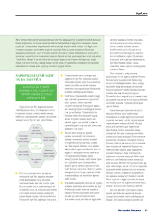 15Багшийн Хөгжил
itpd.mn
ХАРИУЦЛАГАТАЙ ЭЦЭГ
ЭХ БА ЗАН ҮЙЛ
Хүүхэдтэй зүй бус харьцах явдлыг
тайлбарласан онол, урсгалуудыг сэтгэл
судлалын загвар, социологийн загвар,
нийгмээс суралцахуйн загвар, экологийн
загвар гэсэн 4 бүлэгт авч үздэг байна.
	 Сэтгэл судлалын онол загвар нь
хүүхэдтэй зүй бус харьцах явдлын
учир шалтгааныг эцэг эх асран
хамгаалагчийн зан үйл, сэтгэл зүйн
ба сэтгэцийн эмгэг өөрчлөлтүүдтэй
тухайлбал эцэг эх, насанд хүрэгчдийн
сэтгэлийн хөдөлгөөнөө чадваргүй,
уураа барьж чаддаггүйгээсээ болоод
хүүхэдтэй зүй бус харьцдаг гэж үздэг.
	 Социологийн онол загваруудад
хүүхэдтэй зүй бус харьцах явдлыг
нийгмийн хүчин зүйл болох нийгэм
эдийн засгийн ялгаатай нөхцөл,
нийгмээс тусгаарлагдсан байдалтай
холбон тайлбарласан байдаг.
	 Нийгмээс суралцахуйн онол хүмүүс
муу зүйлийг орчноосоо сурдагтай
адил хүмүүст шинэ зүйлийг
системтэй сургаж бэхжүүлэх дадал,
дасгалын үр дүнд төлөвшүүлж болно
гэж үзсэн байдаг. Тухайлбал хүн
бусдын хийж буй үйлдлийг харж,
даган дуурайх замаар шинэ зан
үйлийг сурч, зан үйлийг дэмжсэн
орчин бүрдвэл тэр зан үйл давтагдаж
хэвшинэ гэж үздэг.
	 Экологийн загвар нь хүний
орчны экологийг тогтолцоонд
хувааж, нөлөөлөх хүчин зүйлийг
тодорхойлсон ба ядуурал, эдийн
засгийн хараат байдал, эцэг эхийн
ажилгүйдэл, өрх толгойлсон эцэг эх
хүүхдээ ганцаараа өсгөх, нийгмээс
тусгаарлагдсан байдал, архи
мансууруулах бодис элбэг байх зэрэг
нь хүүхдийн эсрэг хүчирхийлэл,
дарамт үүсэх орчны эрсдэлт хүчин
зүйл болдог гэж үздэг. Мөн хүүхдийн
амьдран суугаа газар, орон нутгийн
нөхцөл байдал нь нөлөөлөх хүчин
зүйл болно.
	 Ээнэгшин дасахуйн онол нь эх хүүхэд
хоёрын харилцан үйлчлэлийн үр дүн
бөгөөд хүүхдийг дөнгөж төрмөгц
эхэлдэг бөгөөд хүүхдийн хөгжлийг
дагаад үргэлжлэн өөрчлөгддөг.
Ээнэгшин дасах үйл явц нь хүүхдийн
оюуны чадамжаа бүрэн олж авах,
хүлээн авсан мэдээллээ ангилах,
ялгах, аливаа зүйлийг уялдаа
холбоотой сэтгэх, бусдад итгэх
итгэлийг нь нэмэгдүүлэх, өөртөө
итгэлтэй болох, стресс бухимдал,
асуудлыг эерэг аргаар шийдвэрлэх,
хүн бүрт байдаг айдас, санаа
зовнилыг даван туулах чадваруудыг
дэмждэг байна.
Эцэг эхийнхээ хайр халамж,
хамгаалалд өссөн хүүхэд өөртөө болон
бусдад эерэг хандлагатай байж илүү
их итгэлтэй байдаг байна. Эцэг эхчүүд
хүүхдийг хайр халамжаар дутааснаас
болоод зарим хүүхдийн биеийн хөгжил
хэвийн явагдаж чадахгүйд хүрдэг.
Тухайлбал нялх нярай үедээ ээжийн хайр
халамжийг амсаагүй өссөн хүүхэд биеийн
өсөлтийг дэмжих гормоны дутагдалд
орсон байдаг.
Ээнэгшин дасах үйл явц нь дутуу
явагдсан болон эцэг эхийн хайр
халамжинд өсөөгүй хүүхдэд түрэмгий
хэрцгий зан авир гаргах, дүрэм журам
зөрчсөндөө гэмшихгүй байх, бусдад
итгэх итгэлгүй бусдыг буруутгах
арга бодох, сэтгэл хөдлөлөө хянах
чадваргүй, бусдаас хамааралтай байх,
аливаа асуудалд анхаарал болгоомжтой
хандахгүй, анхаарал төвлөрөх хугацаа
богино, хийсэн ажлаасаа сэтгэл ханамж
авах чадваргүй, өөрийгөө буруутгах,
өөрчлөлтийг хүлээн авах чадваргүй,
хөгжилтэй цовоо биш, тогтвортой
харилцаа тогтоож чадахгүй байх зэрэг
нийтлэг зан байдлын сөрөг шинжүүд
ажиглагддаг. Нөгөөтээгүүр шалтгаан, үр
дүнг ойлгохгүй, логик сэтгэлгээ муутайн
дээр нийгмийн чадамжууд сул хөгжсөн,
бусдыг сонсох, өөрийгөө илэрхийлэх
хэл ярианы чадвар муу байдаг гэдгийг
багш, сурган хүмүүжүүлэгчид анзаарч
энэ талаар эцэг эх, асран хамгаалагчдад
мэдлэг, мэдээлэл өгч байх нь зүйтэй.
Бүх зан үйлийг хүн сурдаг учраас
хүний зан байдлыг өөрчилж болдог
талаар Зан үйлийн онол тайлбарласан
байдаг. Энэ онол загвар нь хүний зан
Эцэг эхчүүд хүүхэдтэйгээ санаатайгаар зүй бус харьцдаггүй, тэдний итгэлтэй дэмжлэг
бүхий харилцааг тогтоож чадахгүй байгаа байдал болон хүүхдэдээ анхаарал тавьж
сураагүй , хоорондын харилцааны хангагдаагүй хэрэгцээний улмаас тэд хүүхдэдээ
тохирох анхаарал халамжийг үзүүлж чадахгүй байгаад анги удирдсан багш нар
анхаарлаа хандуулж, эцэг эхчүүдэд зөвлөн тусалж асуудлыг шийдвэрлэх эерэг арга
замуудыг санал болгож тодорхой зорилго бүхий чиглэл даалгавруудыг өгөх хэрэгтэй.
Тухайлбал: Өдөрт 1 цагаас багагүй хугацааг хүүхэдтэйгээ хамт өнгөрүүлэх, зураг
зурах, тоглоом тоглох, гадуур алхах, дугуй унах, хүүхдийнхээ сонирхол болон найз
нөхдийнх нь талаар ярих зэргээр дэмжлэг үзүүлж болно.
ХАРИЛЦАА НЬ ХҮНИЙГ
ТӨЛӨВШҮҮЛЭХ, ТЭДНИЙ ЗАН
ҮЙЛИЙГ ӨӨРЧЛӨХ ЧУХАЛ
ХЭРЭГЛҮҮР ЮМ.
Сэтгэл
судлалын
онол загвар
ХАРИЛЦАА
БА
АСУУДАЛ
Зан үйлийн
онол
Нийгмээс
суралцахуйн
онол загвар
Экологийн
онол загвар
Социологийн
онол загвар
Ээнэгшин
дасахуйн
онол загвар
 