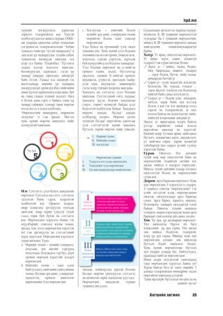 Багшийн хөгжил 25
itpd.mn
түүнийг хөгжүүлэхэд зориулан
зорилго тодорхойлох юм. Үүнтэй
холбогдууланнэгжишээдурдья.СӨББ-
ын удирдах ажилтны албан тушаалын
үлгэрчилсэн тодорхойлолтын “Албан
тушаалд тавигдах тусгай шаардлага”-д
заагдсан ур чадваруудыг тухайн албан
тушаалтан хөгжүүлж ажиллах тал
дээр сул байна. Тухайлбал: “Түгээмэл
гадаад хэлээр мэдээлэл ашиглах,
боловсруулах, харилцах;” гэсэн ур
чадвар удирдах ажилтанд зайлшгүй
байх ёстой. Гадаад хэл мэдэхгүй гэх
шалтгаанаар өөрийн ур чадвараа
хөгжүүлэхгүй орхигдуулбал нийгмийн
өмнө хүлээх хариуцлага алдагдана. Зүй
нь таны гадаад хэлний мэдлэгт бага
ч болов ахиц гарч л байвал таны ур
чадвар сайжирч, улмаар таны өөртөө
итгэх итгэл ч нэмэгдэхболно.
“Өөрчлөлтийг өнөөдрөөс, өөрөөсөө
эхлүүлье” ч гэж ярьдаг. Ингээд
хувь хүний өөртөө өөрчлөлт хийх
алхмуудтай танилцья.
I.	 Өөрийн төлөө
II.	 Нийтийн төлөө
III.	хослуулах
Өөрчлөгдөх түвшин
I.	 Тэмүүлэл итгэлээр өөрчлөгдөх
II.	 Тэнцэхийн тулд өөрчлөгдөх
III.	 Бусдын шаардлагаар өөөрчлөгдөх
Сэтгэлгээ
үзэл
Үг яриа
ойлголтоос
эхлэх
Арга
Үйл
ажиллагаа
Үр дүн
Нэг. Сэтгэлгээ, үзэл бодол, хандлагын
өөрчлөлт: Сэтгэлгээ нь сэтгэ, сэтгэхээс
эхлэлтэй буюу сэрэх, мэдрэхтэй
холбоотой юм. Орчноо мэдрэх,
ямар хэмжээнд эргэцүүлэн тунгааж
ажиглаж, ямар хариу үзүүлэх тухай
сэдэл төрж буй бүхэн нь сэтгэлгээ
юм. Өөрчлөгдөх хэрэгцээ байна гэх
өгүүлбэрийг сонсоод юуны төлөө,
яагаад, хэн, хэзээ өөрчлөгдөх хэрэгтэй
вэ? гэж эргэцүүлэх нь сэтгэлгээний
хурд, хүрээ юм. Өөрчлөгдөх хэрэгцээг
гурав ангилна. Үүнд:
a.	 Өөрийн төлөө – хувийн сонирхол,
үнэлэмж, эрх ашгийг тэргүүнд
чухалчлан, боловсрол гэр бүл, ахуй
орчинг өөрчлөх хэрэгтэйг мэдэрч
өөрчлөгдөх
b.	 Нийтийн төлөө – хамт олон
байгууллага,нийгмийнсайнсайхны
төлөө, бусдын эрх ашиг, сонирхлыг
хүндэтгэн, орчноо шинэчлэн
өөрчлөхийн тулд өөрчлөгдөх
c.	 Хослуулах – нийтийн болон
хувийн эрх ашиг, сонирхлын төлөө
өөрийгөө болон хамт олноор
өөрчлөгдөх
Үзэл бодол нь ертөнцийг үзэх оюун
санааны үйл. Хувь хүний үзэл бодлын
төлөвшил нь өссөн орчин, уншсан ном,
мэдээлэл, сурсан сургууль, хүрээлж
буйхүмүүсийнүзэлбодлоосхамаардаг.
Үзэл бодлын өөрчлөлт нь а/.нийгэм
орчноо таних, мэдэх, бүтээлчээр
оролцох, дэмжих б/.нийгэм орчноо
шүүмжлэх, үгүйсгэх, өрсөлдөх (хайр-
үзэн ядах, шүүмжлэх- зөвшөөрөх)
гэсэн хоёр туйлын хооронд явагдана.
Хандлага нь сэтгэлгээ, үзэл бодлын
нийлэмж. Сэтгэлгээний соёл, хурдаас
хандлага үүсэх боловч хандлагын
(эерэг, сөрөг) идэвхгүй байдал үзэл
бодолтой холбогдож байдаг. Хандлага
өөртөө хандах, бусдад хандах
хэлбэрээр илэрнэ. Өөртөө үнэнч
тууштай бусдыг өөртэйгөө адилтгаж
үзэх сэтгэлгээтэй хүний хандлага
бүтээлч, харин өөртөө найр тавьсан,
зөөлөн, хойшлуулах дуртай боловч
бусдыг өөртөө үйлчлүүлэх сэтгэлгээ
нь ихэвчлэн сөрөг хандлагыг үүсгэдэг.
Өөрчлөгдөх хандлагыг гурван
түвшинд авч үздэг.
Судлаачдын дүгнэлтээс харахад хүмүүс
ихэвчлэн II, III түвшний өөрчлөлттэй
тулгардаг ба I түвшний өөрчлөлтийг
хийвэл II, III түвшний өөрчлөлт аяндаа
хийгддэгийг төдийлөнухаарахгүй
байна.
Хоёр. Үг яриа, ойлголтын өөрчлөлт:
Үг яриаг эерэг, сөрөг, идэвхгүй
(саарал) гэж гурав ангилж болно.
	Эерэг үг – хийнэ, чадна, болно,
бид, баярлалаа, амжилт, ухаарал
... зэрэг болох, бутэх, хийх талаас
анхаарсан баттай үг
	Сөрөг үг – үгүй, чадахгүй, мэдэхгүй,
болохгүй, би, уурлах, гомдох ...
зэрэг шалтаг тоочсон аль болохоор
хийгүй байх санаа агуулсан үг.
	Саарал үг – бодож үзье, анхааръя,
хичээх, харж байя, яах вэ,тэгж
болох л юм гэх мэт шийдвэр хэзээ
гаргах нь тодорхойгүй, яг юуг
хэлээд байгаа нь мэдэгдэхгүй, хийх,
хийхгүй хоорондын завсрын үг.
Эндээс үг яриагаараа илэрч байгаа
үгсээр өөрийгөө таньж мэдээд
өөртэйгөө ажиллах нь хэрэгтэй.
Бидний өдөр тутмын яриаг ажиглавал
бүтээгч, дэмжигчид эерэг, шүүмжлэгч,
үл хийгчид сөрөг, харин идэвхгүй
туйлбаргүй хүн саарал үгсийг түлхүү
хэрэглэж байна.
Гурав. Ойлголт: Нэг зүйлийн
тухай өөр өөр ойлголттой байх нь
өөрчлөлтийг төдийгүй энгийн нэг
ажлыг хийхэд ч хүндрэл учруулдаг.
Иймээс тухай зүйлийн талаар нэгдмэл
ойлголттой болох нь өөрчлөлтийн
суурь юм.
Дөрөв.Аргабарилынөөрчлөлт:Хувь
хүн өөрчлөгдөх 3 хэрэгцээгээ ухаарч,
3 түвшнээ сонгож “өөрчлөгдөнө” гэх
үгийг итгэлтэй хэлж, өөрчлөгдөхөө
ойлгож, ойлгуулснаар арга барилаа
олдог. Арга барил, зорилго, нөхцөл,
боломжоос хамаарч хязгааргүй олон
байдаг. Тйимээс тухайн нөхцөлд
тохирох, өөрөө хэрэгжүүлж чадах арга
барилыг сонгосноор үйл ажил эхэлнэ.
Тав. Үр дүн, үр дагаварын өөрчлөлт:
Үйл ажиллагаа бүрээс их бага
хэмжээний үр дүн гарна. Үйл ажлаа
зөв хийвэл бодитой, тодорхой,
илүү үр дүн гарна. Ийнхүү хувь хүн
өөрчлөгдөх алхмыг зөв хийснээр
бүтээлч бодит өөрчлөлт болно.
Хувь хүний өөрчлөлтөөс бүтээлч
хүч ундарч улмаар баг, байгууллага,
цаашлаад нийгэм өөрчлөгддөг.
Иймд дээрх агуулгатай танилцахад
танд өөрчлөгдөх хэрэгцээ байна уу?
Хэрэв байгаа бол яг одоо өөрийн 5
алхмаа тодорхойлон өнөөдрөөс эхлэн
өөртэйгөө ажиллаад үзээрэй.
Таны ирээдүйг бүтээлцэх их үйлсэд нь
амжилт хүсэе!
Тэмүүлэл,
итгэлээр
өөрчлөгдөх
Хүн болж төрснөө ухаарч, эцэг
эх болон нийгмийн ач тусыг
хариулах, өөрийгөө хөгжүүлэх,
дотоод эрч хүч, авьяас чадвараа
нээхийн төлөө өөрчлөгдөх
Гадаадад сурах, ажилд орох, төрийн
албан хаагч болох, номын болон
мэргэжлийн зэрэг ахиулах гм хувийн
сонирхолоо нийгмийн дэг журамд
нийцүүлэхийн тулд өөрчлөгдөх
Нийгэм, байгууллага хамт олон,
гэр бүлийн гишүүдийн шахалт,
шаардлагаар өөрчлөгдөх
I
Тэнцэхийн
тулд
өөрчлөгдөх
Бусдын
шаардлагаар
өөрчлөгдөх
II
III
 