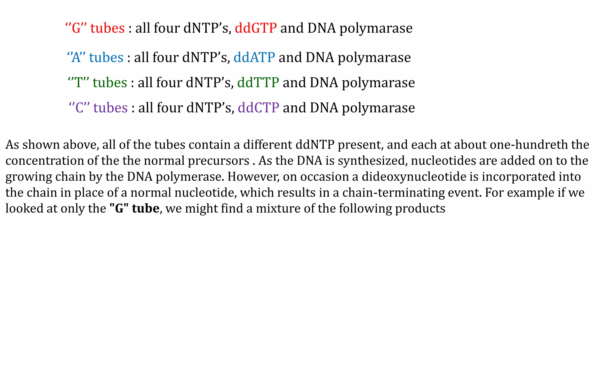 ‘’G’’ tubes : all four dNTP’s, ddGTP and DNA polymarase
‘’A’’ tubes : all four dNTP’s, ddATP and DNA polymarase
‘’T’’ tubes : all four dNTP’s, ddTTP and DNA polymarase
‘’C’’ tubes : all four dNTP’s, ddCTP and DNA polymarase
As shown above, all of the tubes contain a different ddNTP present, and each at about one-hundreth the
concentration of the the normal precursors . As the DNA is synthesized, nucleotides are added on to the
growing chain by the DNA polymerase. However, on occasion a dideoxynucleotide is incorporated into
the chain in place of a normal nucleotide, which results in a chain-terminating event. For example if we
looked at only the "G" tube, we might find a mixture of the following products
 
