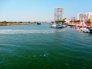 Bahía de rosas