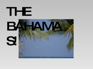 THE BAHAMAS! 