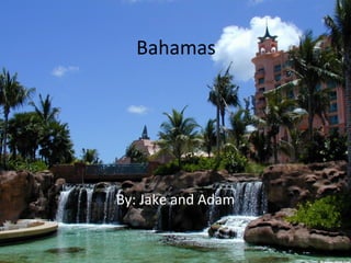 Bahamas




By: Jake and Adam
 