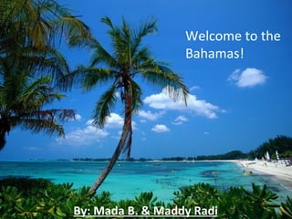 Welcome to the
                  Bahamas!




By: Mada B. & Maddy Radi
 