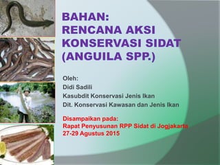 Oleh:
Didi Sadili
Kasubdit Konservasi Jenis Ikan
Dit. Konservasi Kawasan dan Jenis Ikan
Disampaikan pada:
Rapat Penyusunan RPP Sidat di Jogjakarta
27-29 Agustus 2015
 