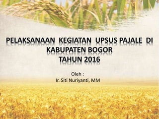 Ir. Siti Nuriyanti, MM
Oleh :
 