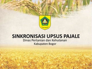 SINKRONISASI UPSUS PAJALE
Kabupaten Bogor
Dinas Pertanian dan Kehutanan
 