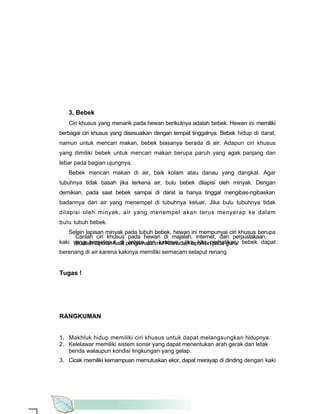 3. Bebek
   Ciri khusus yang menarik pada hewan berikutnya adalah bebek. Hewan ini memiliki
berbagai ciri khusus yang disesuaikan dengan tempat tinggalnya. Bebek hidup di darat,
namun untuk mencari makan, bebek biasanya berada di air. Adapun ciri khusus
yang dimiliki bebek untuk mencari makan berupa paruh yang agak panjang dan
lebar pada bagian ujungnya.
   Bebek mencari makan di air, baik kolam atau danau yang dangkal. Agar
tubuhnya tidak basah jika terkena air, bulu bebek dilapisi oleh minyak. Dengan
demikian, pada saat bebek sampai di darat ia hanya tinggal mengibas-ngibaskan
badannya dan air yang menempel di tubuhnya keluar. Jika bulu tubuhnya tidak
dilapisi oleh minyak, air yang menempel akan terus menyerap ke dalam
bulu tubuh bebek.
   Selain lapisan minyak pada tubuh bebek, hewan ini mempunyai ciri khusus berupa
      Carilah ciri khusus pada hewan di majalah, internet, dan perpustakaan.
kaki yang berselaput di pengamatanmu! Kemudian laporkanperhatikan, bebek dapat
      Buatlah laporan hasil antara jari kakinya. Jika kita pada guru!
berenang di air karena kakinya memiliki semacam selaput renang


Tugas !




RANGKUMAN


1. Makhluk hidup memiliki ciri khusus untuk dapat melangsungkan hidupnya.
2. Kelelawar memiliki sistem sonar yang dapat menentukan arah gerak dan letak
   benda walaupun kondisi lingkungan yang gelap.
3. Cicak memiliki kemampuan memutuskan ekor, dapat merayap di dinding dengan kaki
 