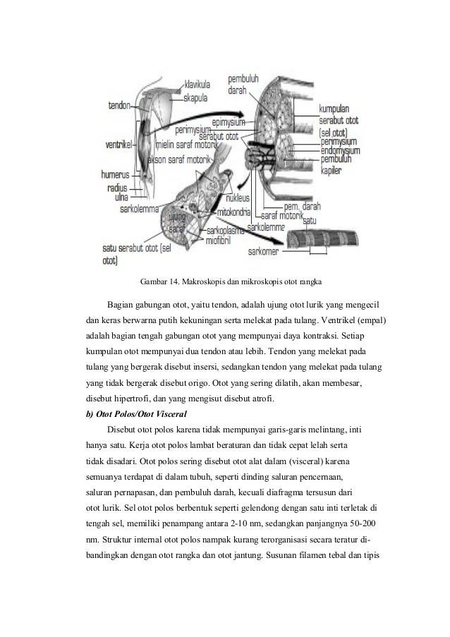 Bahan Ajar 26330174