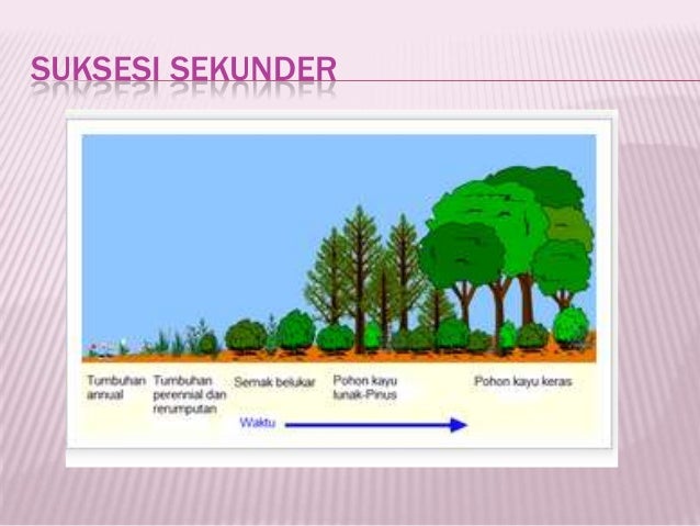 Bahan ajar komponen ekosistem (part 2)