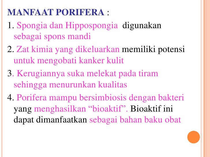 Bahan ajar 1 filum porifera coelenterata platyhelminthes Bahan ajar 1 filum porifera coelenterata platyhelminthes