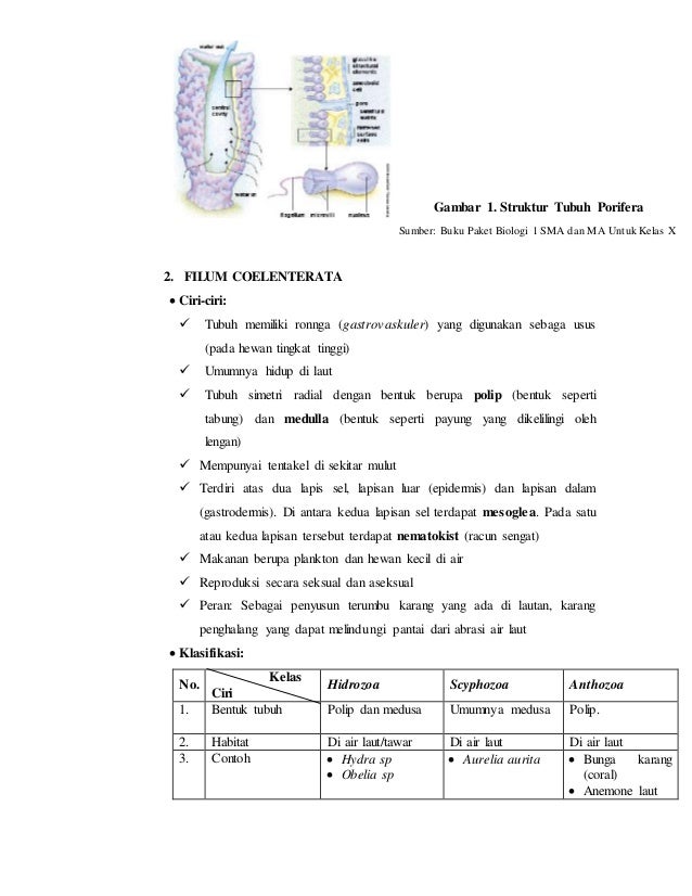 BAHAN AJAR STAD FILUM PORIFERA dll BAHAN AJAR STAD FILUM PORIFERA dll