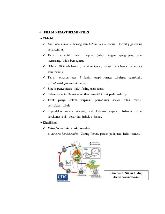 Contoh Video Difusi - Force ID