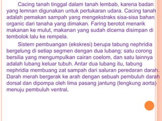 Cacing tanah tinggal dalam tanah lembab, karena badan
yang lemnan digunakan untuk pertukaran udara. Cacing tanah
adalah pemakan sampah yang mengekstraks sisa-sisa bahan
organic dari tanaha yang dimakan. Faring berotot menarik
makanan ke mulut, makanan yang sudah dicerna disimpan di
tembolok lalu ke rempela.
     Sistem pembuangan (ekskresi) berupa tabung nephridia
bergelung di setiap segmen dengan dua lubang; satu corong
bersilia yang mengumpulkan cairan coelom, dan satu lainnya
adalah lubang keluar tubuh. Antar dua lubang itu, tabung
nephridia membuang zat sampah dari saluran peredaran darah.
Darah merah bergerak ke arah dengan sebuah pembuluh darah
dorsal dan dipompa oleh lima pasang jantung (lengkung aorta)
menuju pembuluh ventral.
 