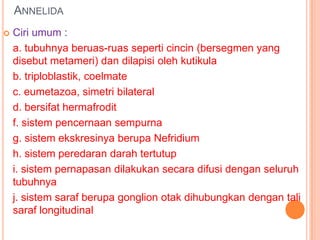 ANNELIDA
   Ciri umum :
    a. tubuhnya beruas-ruas seperti cincin (bersegmen yang
    disebut metameri) dan dilapisi oleh kutikula
    b. triploblastik, coelmate
    c. eumetazoa, simetri bilateral
    d. bersifat hermafrodit
    f. sistem pencernaan sempurna
    g. sistem ekskresinya berupa Nefridium
    h. sistem peredaran darah tertutup
    i. sistem pernapasan dilakukan secara difusi dengan seluruh
    tubuhnya
    j. sistem saraf berupa gonglion otak dihubungkan dengan tali
    saraf longitudinal
 