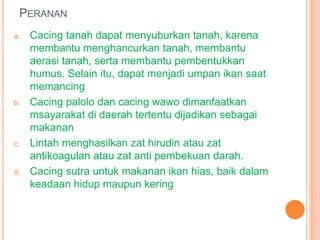 PERANAN
a.   Cacing tanah dapat menyuburkan tanah, karena
     membantu menghancurkan tanah, membantu
     aerasi tanah, serta membantu pembentukkan
     humus. Selain itu, dapat menjadi umpan ikan saat
     memancing
b.   Cacing palolo dan cacing wawo dimanfaatkan
     msayarakat di daerah tertentu dijadikan sebagai
     makanan
c.   Lintah menghasilkan zat hirudin atau zat
     antikoagulan atau zat anti pembekuan darah.
d.   Cacing sutra untuk makanan ikan hias, baik dalam
     keadaan hidup maupun kering
 