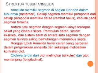 STRUKTUR TUBUH ANNELIDA
     Annelida memiliki segmen di bagian luar dan dalam
tubuhnya (metameri). Setiap segmen memiliki parapodia dan
setiap parapodia memliliki setae (rambut halus), kecuali pada
segmen terakhir.
     Antara satu segmen dengan segmen lainya terdapat
sekat yang disebut septa. Pembuluh darah, sistem
ekskresi, dan sistem saraf di antara satu segmen dengan
segmen lainnya saling berhubungan menembus septa.
     Rongga tubuh Annelida berisi cairan yang berperan
dalam pergerakkan annelida dan sekaligus melibatkan
kontraksi otot.
     Ototnya terdiri dari otot melingkar (sirkuler) dan otot
memanjang (longitudinal).
 