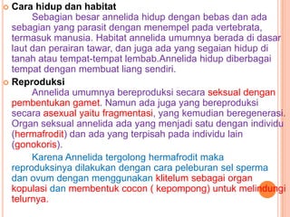  Cara hidup dan habitat
       Sebagian besar annelida hidup dengan bebas dan ada
  sebagian yang parasit dengan menempel pada vertebrata,
  termasuk manusia. Habitat annelida umumnya berada di dasar
  laut dan perairan tawar, dan juga ada yang segaian hidup di
  tanah atau tempat-tempat lembab.Annelida hidup diberbagai
  tempat dengan membuat liang sendiri.
 Reproduksi
       Annelida umumnya bereproduksi secara seksual dengan
  pembentukan gamet. Namun ada juga yang bereproduksi
  secara asexual yaitu fragmentasi, yang kemudian beregenerasi.
  Organ seksual annelida ada yang menjadi satu dengan individu
  (hermafrodit) dan ada yang terpisah pada individu lain
  (gonokoris).
       Karena Annelida tergolong hermafrodit maka
  reproduksinya dilakukan dengan cara peleburan sel sperma
  dan ovum dengan menggunakan klitelum sebagai organ
  kopulasi dan membentuk cocon ( kepompong) untuk melindungi
  telurnya.
 