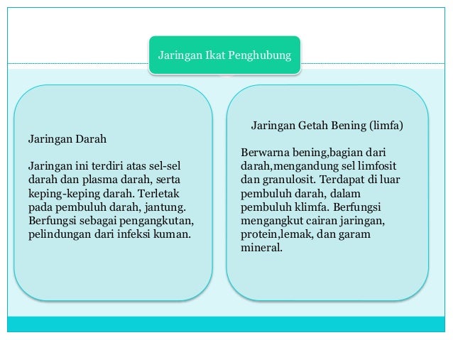 Bahan ajar jaringan hewan