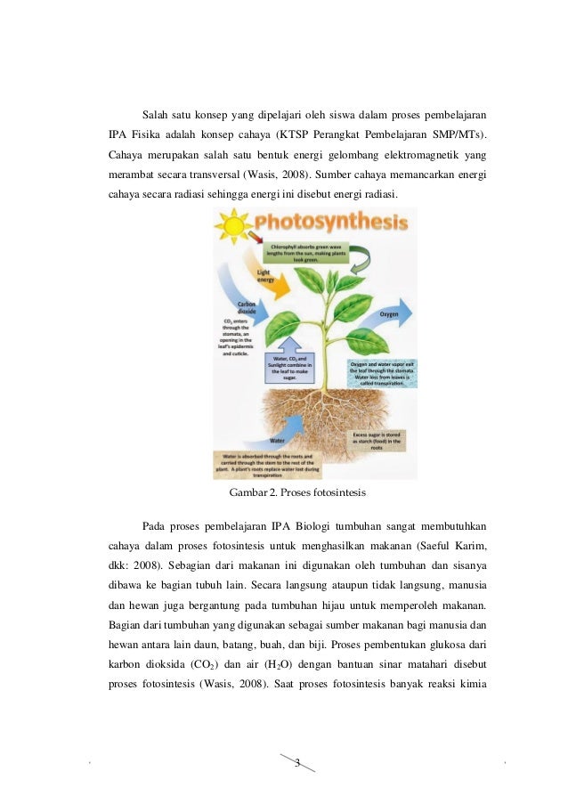 Bahan ajar model connected materi fotosintesis