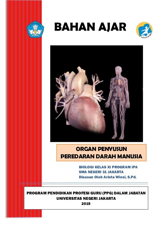 Organ penyusun peredaran darah