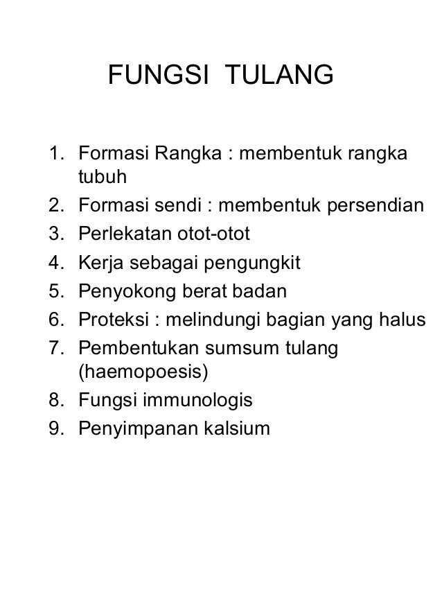 Osteologi