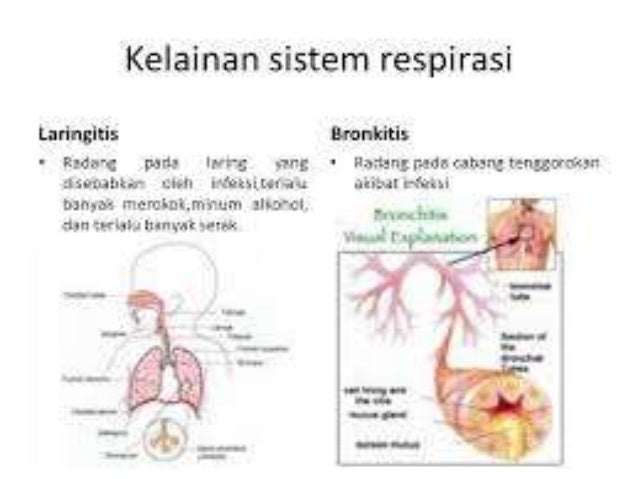 Bahan Ajar Kelas V Sd