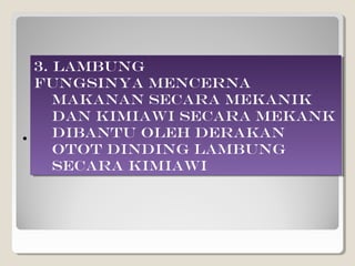 3. Lambung
    3. Lambung
    Fungsinya mencerna
    Fungsinya mencerna
       makanan secara mekanik
       makanan secara mekanik
       dan kimiawi Secara mekank
       dan kimiawi Secara mekank
.      dibantu oleh derakan
       dibantu oleh derakan
       otot dinding lambung
       otot dinding lambung
       Secara kimiawi
       Secara kimiawi
 
