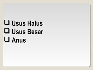  Usus Halus
 Usus Besar
 Anus
 