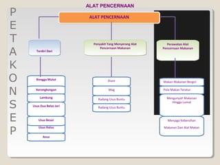 ALAT PENCERNAAN
P                          ALAT PENCERNAAN

E
T                           Penyakit Yang Menyerang Alat     Perawatan Alat

A
                                Pencernaan Makanan         Pencernaan Makanan
      Terdiri Dari



K
O     Rongga Mulut                   Diare                 Makan Makanan Bergizi


N     Kerongkongan

        Lambung
                                     Mag                   Pola Makan Teratur

                                                             Mengunyah Makanan

S
                              Radang Usus Buntu
                                                                Hingga Lumat
    Usus Dua Belas Jari       Radang Usus Buntu


E       Usus Besar                                           Menjaga Kebersihan


P
        Usus Halus                                         Makanan Dan Alat Makan

           Anus
 