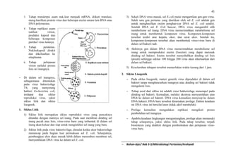 41
3. Tahap transkripsi asam nuk-leat menjadi mRNA, diikuti translasi,
meng-hasilkan protein virus dan beberapa enzim antara lain RNA atau
DNA polymerase.
4. Tahap replikasi asam
nukleat virion,
produksi kapsid dan
beberapa komponen
partikel virus lainnya.
5. Tahap perakitan.
Nukleokapsid dirakit
dan dikeluarkan ke
sitoplasma
6. Tahap pelepasan
virion melalui proses
lisis sel inangnya.
 Di dalam sel inangnya,
sebagaimana ditemukan
pada virus bakteriofage
T4, yang menyerang
bakteri Escherichia coli,
terdapat dua siklus
reproduksi virus, yakni
siklus litik dan siklus
lisogenik.
1. Siklus Litik
1) Siklus litik merupakan siklus reproduksi virus yang puncaknya
ditandai dengan matinya sel inang. Pada saat membran dinding sel
inang pecah atau lisis, virus-virus baru yang terbentuk di dalam sel
inang akan keluar dan siap untuk menginfeksi sel inang yang baru.
2) Siklus litik pada virus bakterio-fage, dimulai ketika ekor bakteriofage
menancap pada bagian luar permukaan sel E. coli. Selanjutnya,
pembungkus ekor akan masuk lebih dalam menembus membran sel,
menyuntikkan DNA virus ke dalam sel E. coli.
3) Sekali DNA virus masuk, sel E.coli mulai mengartikan gen-gen virus.
Salah satu gen pertama yang diartikan oleh sel E. coli adalah gen
untuk menghasilkan enzim penghan-cur DNA sel E. coli sendiri.
Setelah DNA sel E. Coli hancur, DNA virus mengambil alih
metabolisme sel inang. DNA virus memerintahkan metabolisme sel
inang untuk membentuk komponen virus. Komponen-komponen
tersebut terdiri atas kepala, ekor, dan serat ekor. Setelah itu,
komponen-komponen tersebut akan membentuk virus-virus baru di
dalam sel bakteri tadi.
4) Akhirnya gen dalam DNA virus memerintahkan metabolisme sel
inang untuk memproduksi enzim (lisozim) yang dapat merusak
dinding sel bakteri. Enzim tersebut menyebabkan dinding sel lisis
(pecah) sehingga sekitar 100 hingga 200 virus akan dikeluarkan dari
dalam sel bakteri.
5) Keseluruhan tahapan tersebut memerlukan waktu kurang dari 1 jam.
2. Siklus Lisogenik
 Pada siklus lisogenik, materi genetik virus diproduksi di dalam sel
bakteri tanpa menghancurkan inangnya atau dinding sel bakteri tidak
mengalami lisis.
 Tahap awal dari siklus ini adalah virus bakteriofage menempel pada
dinding sel bakteri. Kemudian, melalui ekornya menyuntikkan utas
DNA ke dalam sel bakteri. DNA virus kemudian menyisip ke dalam
DNA bakteri. DNA baru tersebut dinamakan profage. Dalam keadaan
ini DNA virus ini bersifat laten (tidak aktif membelah)
 Profage kemudian mengadakan replikasi mengikuti proses
pembelahan sel inangnya.
 Apabila keadaan lingkungan menguntungkan, profage akan memasuki
tahap selanjutnya, yakni siklus litik. Pada tahap tersebut, terjadi
biosintesis yang diakhiri dengan pembentukan dan pelepasan virus-
virus baru.
 Bahan-Ajar/ Bab 3-3/Mikrobiologi Pertanian/Arohyadi
 