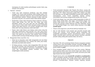 43
menampung air) untuk menekan perkembangan nyamuk Aedes yang
menjadi vector penyakit.
3. Vaksinasi - imunisasi
 Tubuh yang sehat mempunyai pertahanan yang baik terhadap
serangan virus. Secara alami pertahanan tubuh terhadap infeksi virus
adalah dengan mekanisme fagositosis oleh sel darah putih (leukosit)
dan pembentukan antibodi. Antibodi terbentuk di dalam tubuh jika
ada protein asing dari virus masuk ke dalam tubuh (disebut antigen).
 Pembentukan antigen dapat dirangsang dengan pemberian vaksinasi.
Vaksin dapat berupa virus mati atau virus hidup yang sudah
dilemahkan. Ketika virus yang telah mati atau dilemahkan pada
vaksin masuk ke dalam tubuh, tubuh merespons dengan membentuk
antibodi yang dapat melawan virus tersebut, sehingga ketika terjadi
infeksi oleh virus yang sebenarnya, tubuh telah kebal.
 Namun vaksin tidak bekerja sama baiknya untuk semua orang dan
tidak dapat memberantas semua penyakit virus. Satu vaksin hanya
efektif untuk satu jenis virus. Oleh karena itu sekarang dikembangkan
vaksin virus ganda atau multivalen. Satu suntikan vaksin ini dapat
membuat kebal seseorang terhadap beberapa serangan virus sekaligus.
4. Menggunakan bahan yang bebas virus
 Dalam hal ini dianjurkan untuk tidak menggunakan alat atau bahan
yang sudah terkontaminasi virus, misalnya alat suntik, pisau bedah,
dan larutan atau darah untuk transfusi.
 Di bidang pertanian, misalnya tidak menggunakan bibit atau benih,
dan alat-alat pertanian yang terkontaminasi atau mengandung virus.
Melakukan sanitasi lingkungan pertanaman, memberantas serangga
vector dan memusnahkan tanaman terinfeksi virus untuk
menghilangkan sumber penularan.
V I R O I D
 Viroid pertamakali ditemukan oleh Theodor Otto Diener, seorang ahli
penyakit tanaman yang bekerja di Pusat Penelitian Pertanian di Maryland
pada tahun 1971. Diener menemukan partikel RNA infektif yang lebih
kecil dari pada virus dan dapat menyebabkan penyakit pada tumbuhan. Ia
menamakannya viroid. Viroid menginfeksi tanaman kentang,
menyebabkan umbi kentang menggelendong (spindle tuber disease).
 Viroid mirip dengan virus, yaitu hanya mampu bereproduksi di dalam sel
hidup sebagai partikel RNA. Akan tetapi, viroid berbeda dengan virus
dimana setiap partikel RNA berisi RNA tunggal yang spesifik, yang
tersusun dari potongan pendek (beberapa ratus basa nukleotida). Selain
itu, viroid berbeda dengan virus, karena struktur penyusun viroid tidak
memliki kapsid.
 Ukuran viroid sangat kecil; yaitu 80 kali lebih kecil daripada virus.
 Saat ini telah diketahui viroid menjadi agen penyebab penyakit pada
benyak jenis tanaman. Viroid misalnya dikenal menginfeksi dan
menghambat pertumbuhan tanaman chrysanthemum (sejenis tanaman
bunga), penyebab gejala yellowing pada tanaman mentimun, penyebab
penyakit cadang-cadang pada tanaman kelapa, dan lainnya..
P R I O N
 Pada tahun 1982, ahli neurobiologi Stanley Prusiner mengajukan pendapat
tentang protein yang menyebabkan penyakit neurologis Scrapie, yang
merupakan peristiwa degenerasi neural pada domba. Prusiner menamakan
protein infektif ini prion.
 Prion merupakan partikel infektif kecil yang berisi protein. Beberapa
peneliti percaya bahwa prion berisi protein tanpa asam nukleat, karena
prion terlalu kecil untuk menampung asam nukleat, dan karena prion tidak
dapat dirusak oleh enzim nuklease.
 Penyakit karena prion yaitu transmissible spongiform encephalopathies
(TSEs) merupakan penyakit neurologis yang progresif, berakibat fatal
pada manusia dan hewan. Para peneliti percaya prion adalah penyebab
penyakit Creutzfeldt-Jakob. Penyakit tersebut tergolong penyakit
 