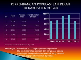 0
2000
4000
6000
8000
10000
2009 2010 2011 2012 2013
No
Tahun
Populasi
(Ekor)
Trend Kenaikan
(Persen)
1. 2009 7.131 -
2. 2010 7.288 2.20
3. 2011 8.973 23.12
4. 2012 9.487 5.73
5. 2013 6.963 -36.25
Sumber : Dinas Peternakan dan Perikanan Kab. Bogor, 2014
Keterangan : Pada tahun 2013 terjadi penurunan populasi.
Hal ini dikarenakan dampak dari harga sapi potong
yang tinggi sehingga banyak peternak yang menjual
sebagian sapi perahnya untuk dipotong.
 