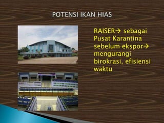 RAISER sebagai
Pusat Karantina
sebelum ekspor
mengurangi
birokrasi, efisiensi
waktu
 