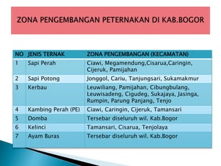 NO JENIS TERNAK ZONA PENGEMBANGAN (KECAMATAN)
1 Sapi Perah Ciawi, Megamendung,Cisarua,Caringin,
Cijeruk, Pamijahan
2 Sapi Potong Jonggol, Cariu, Tanjungsari, Sukamakmur
3 Kerbau Leuwiliang, Pamijahan, Cibungbulang,
Leuwisadeng, Cigudeg, Sukajaya, Jasinga,
Rumpin, Parung Panjang, Tenjo
4 Kambing Perah (PE) Ciawi, Caringin, Cijeruk, Tamansari
5 Domba Tersebar diseluruh wil. Kab.Bogor
6 Kelinci Tamansari, Cisarua, Tenjolaya
7 Ayam Buras Tersebar diseluruh wil. Kab.Bogor
 