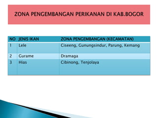 NO JENIS IKAN ZONA PENGEMBANGAN (KECAMATAN)
1 Lele Ciseeng, Gunungsindur, Parung, Kemang
2 Gurame Dramaga
3 Hias Cibinong, Tenjolaya
 