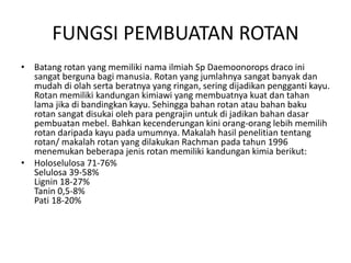 FUNGSI PEMBUATAN ROTAN
• Batang rotan yang memiliki nama ilmiah Sp Daemoonorops draco ini
sangat berguna bagi manusia. Rotan yang jumlahnya sangat banyak dan
mudah di olah serta beratnya yang ringan, sering dijadikan pengganti kayu.
Rotan memiliki kandungan kimiawi yang membuatnya kuat dan tahan
lama jika di bandingkan kayu. Sehingga bahan rotan atau bahan baku
rotan sangat disukai oleh para pengrajin untuk di jadikan bahan dasar
pembuatan mebel. Bahkan kecenderungan kini orang-orang lebih memilih
rotan daripada kayu pada umumnya. Makalah hasil penelitian tentang
rotan/ makalah rotan yang dilakukan Rachman pada tahun 1996
menemukan beberapa jenis rotan memiliki kandungan kimia berikut:
• Holoselulosa 71-76%
Selulosa 39-58%
Lignin 18-27%
Tanin 0,5-8%
Pati 18-20%
 