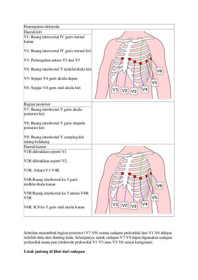 Bahan ekg