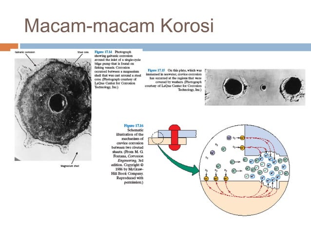 Bahan korosif | PPT