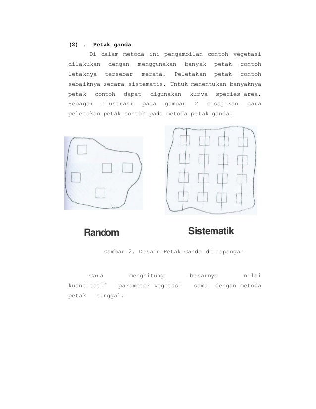 Ekologi Hutan