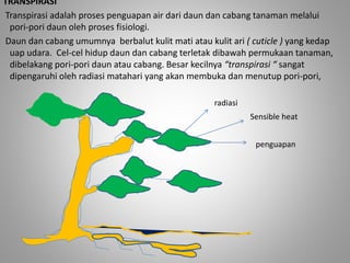 TRANSPIRASI 
Transpirasi adalah proses penguapan air dari daun dan cabang tanaman melalui 
pori-pori daun oleh proses fisiologi. 
Daun dan cabang umumnya berbalut kulit mati atau kulit ari ( cuticle ) yang kedap 
uap udara. Cel-cel hidup daun dan cabang terletak dibawah permukaan tanaman, 
dibelakang pori-pori daun atau cabang. Besar kecilnya “transpirasi “ sangat 
dipengaruhi oleh radiasi matahari yang akan membuka dan menutup pori-pori, 
radiasi 
Sensible heat 
penguapan 
 